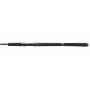 PENN Squadron III SW Spin Spinning Rod