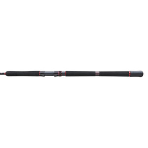 PENN Squadron III Jig Spinning Rod