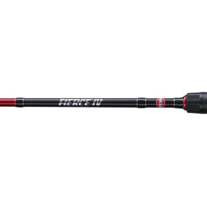PENN Fierce IV Labrax Combo