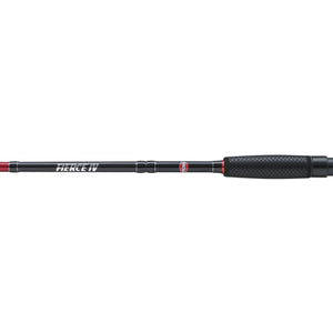 PENN Fierce IV Travel Spin Combo