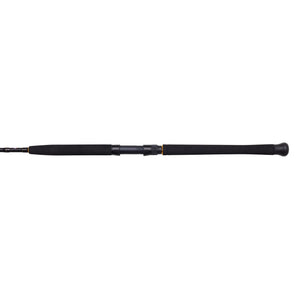 PENN Wrath II Boat Spinning Combo