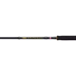 PENN Wrath II Eging Spinning Combo