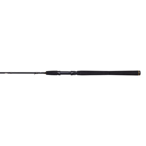 PENN Wrath II Spinning Combo