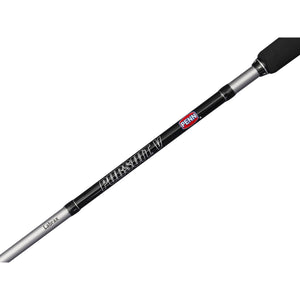 PENN Pursuit V Labrax Combo