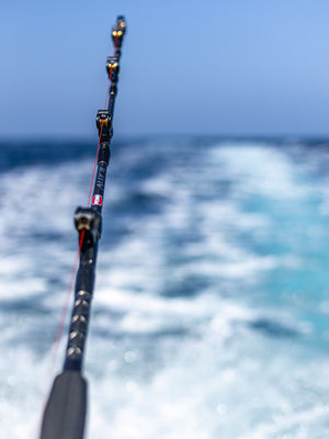 european fishing pole HEXEH Poles Winter Ice Fishing Rod Ultra-Light Carbon Fiber Ice Fishing Medium Light Ice Fishing Spinning Rod Fishing Rod and Reel Combos (Color : 23.62in) : Sports & Outdoors Thoughtful upgrades such as a strategically placed stripping guide to reduce line slap and tip PENN EU Saltwater Fishing Gear,
