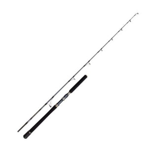 PENN Battalion Solid Boat Casting rod in two pieces, cut out on a white background